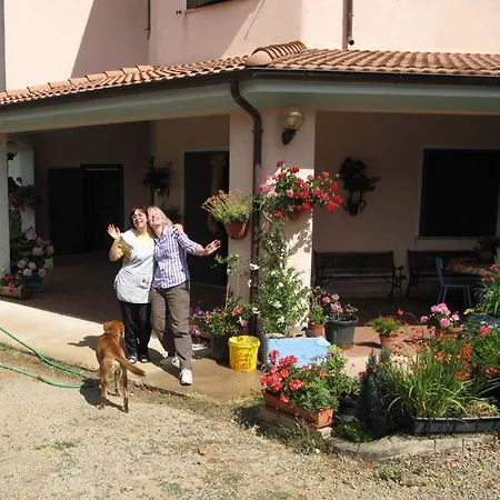Mattalè Tonara