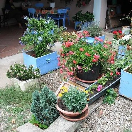 Mattale Bauernhof *