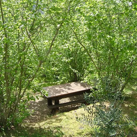 Mattalè Alloggio per agriturismo Tonara