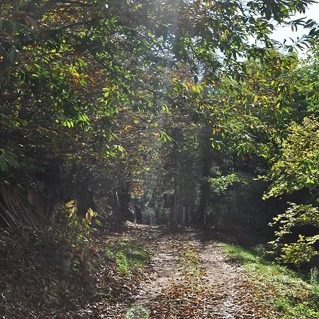 Mattale Bauernhof