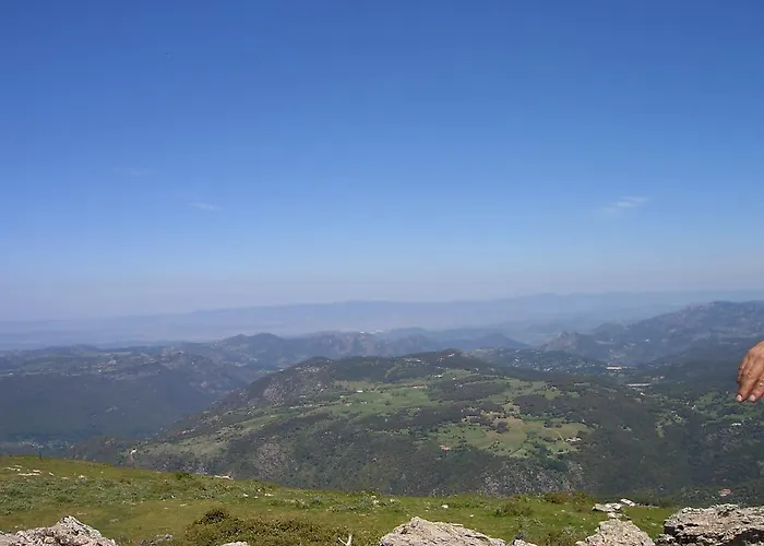 Vakantieboerderij Mattale