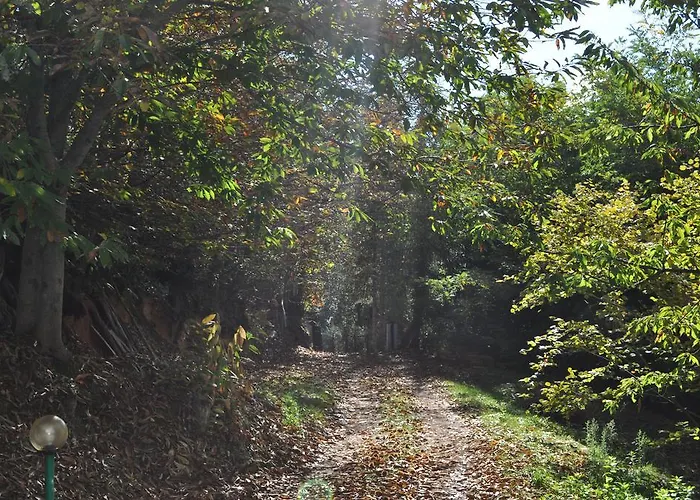 Mattale Vakantieboerderij